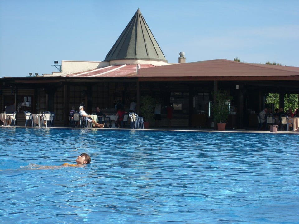 Pool mit Poolbar im Hintergrund Paloma Oceana