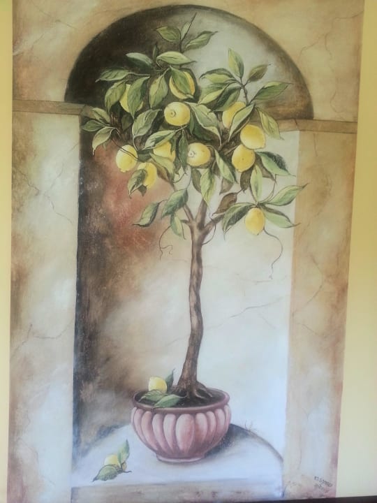 Schönes Motiv im Saunabereich Hotel Brunnenhof