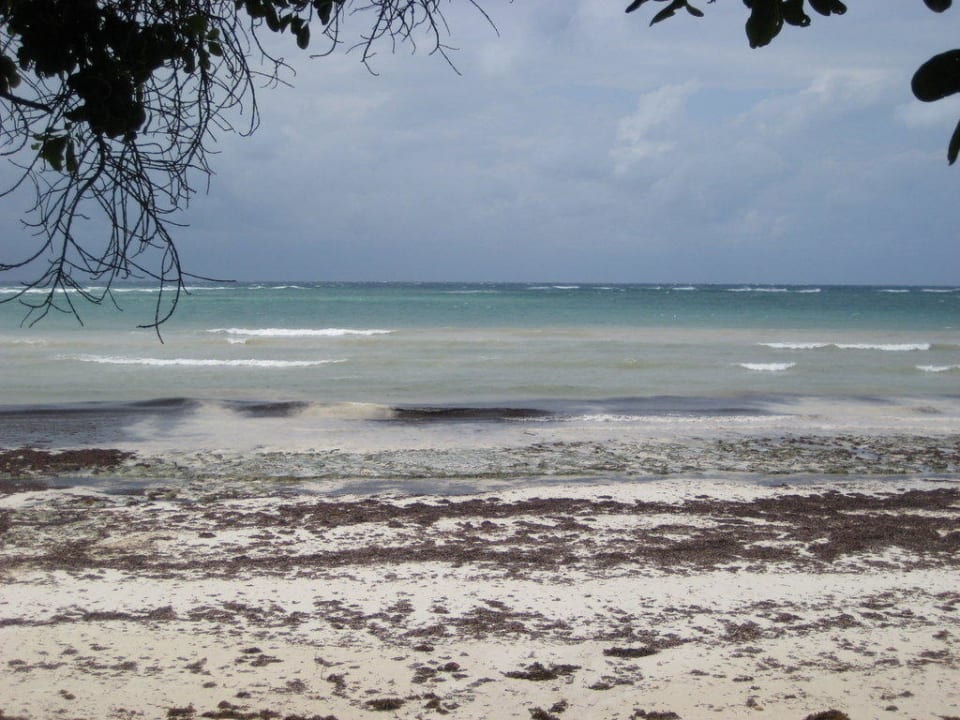 Hotel-Strand Kaskazi Beach Resort