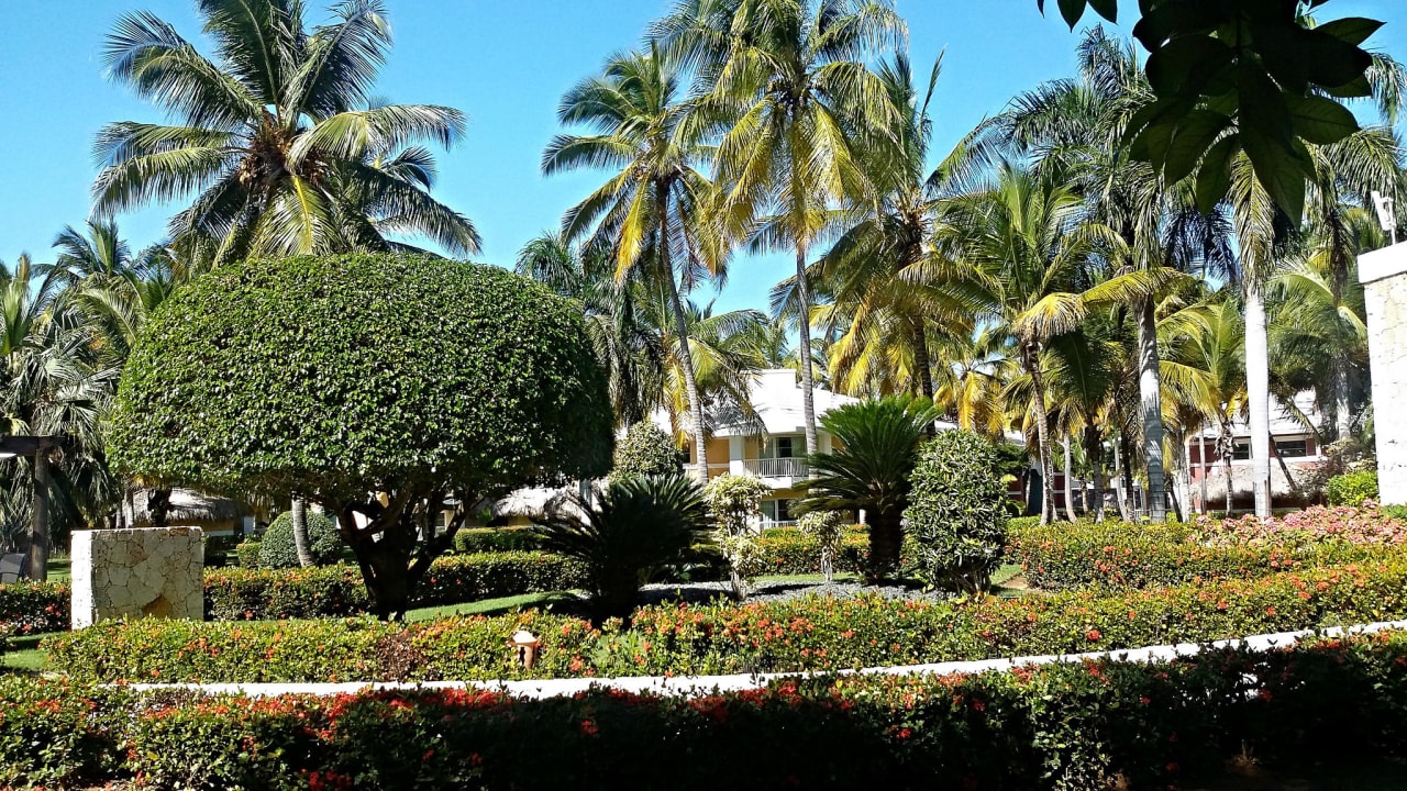 Gartenblick Grand Palladium Select Bávaro Resort & Spa