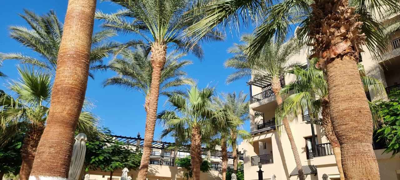 Gartenanlage Steigenberger Aqua Magic