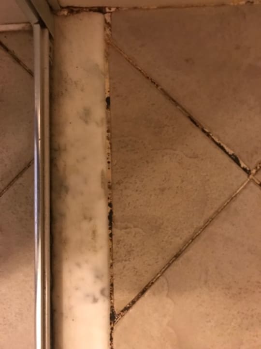 Zimmer Riva Bodrum Resort