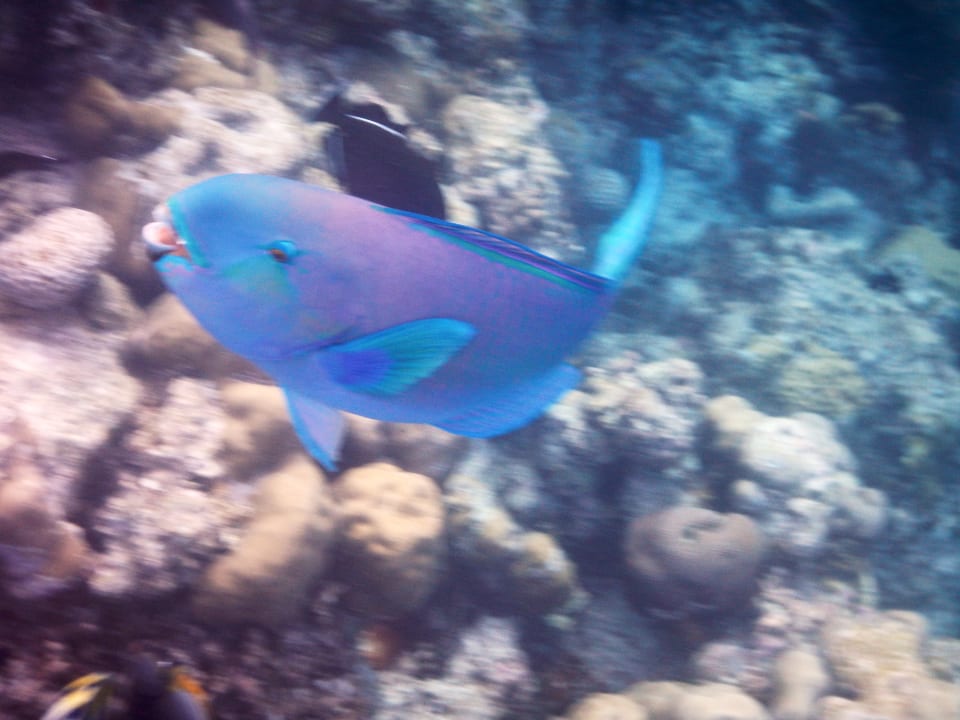 Strand Adaaran Select Meedhupparu Island Resort - Premium All Inclusive