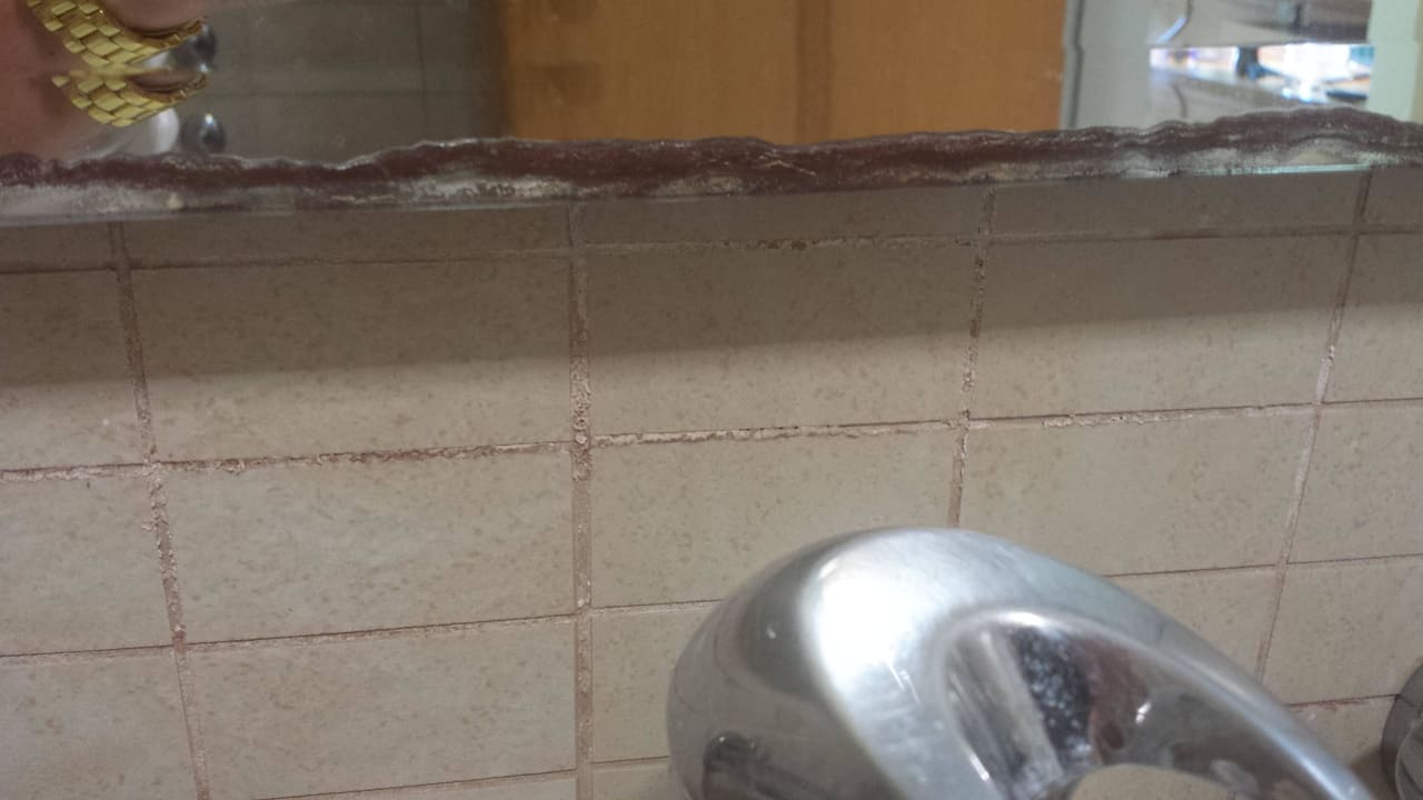 Rost am Badspiegel Hotel Calypso Beach