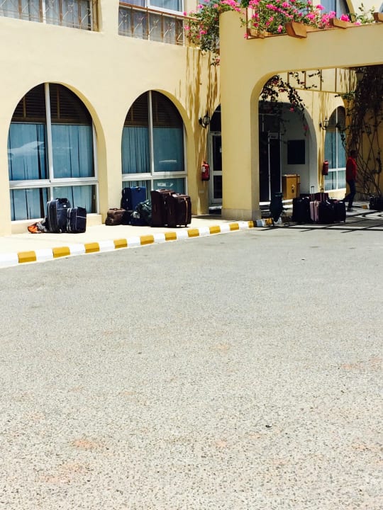 Koffer stehen Stundenlang draußen Desert Rose