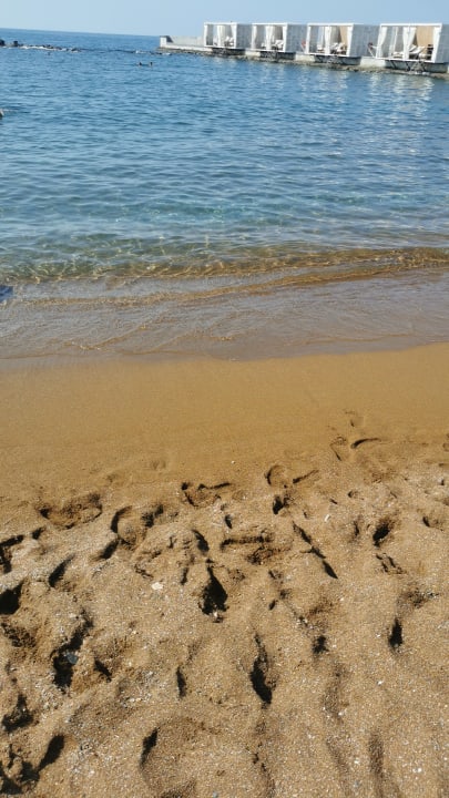 Strand Rubi Platinum Sign