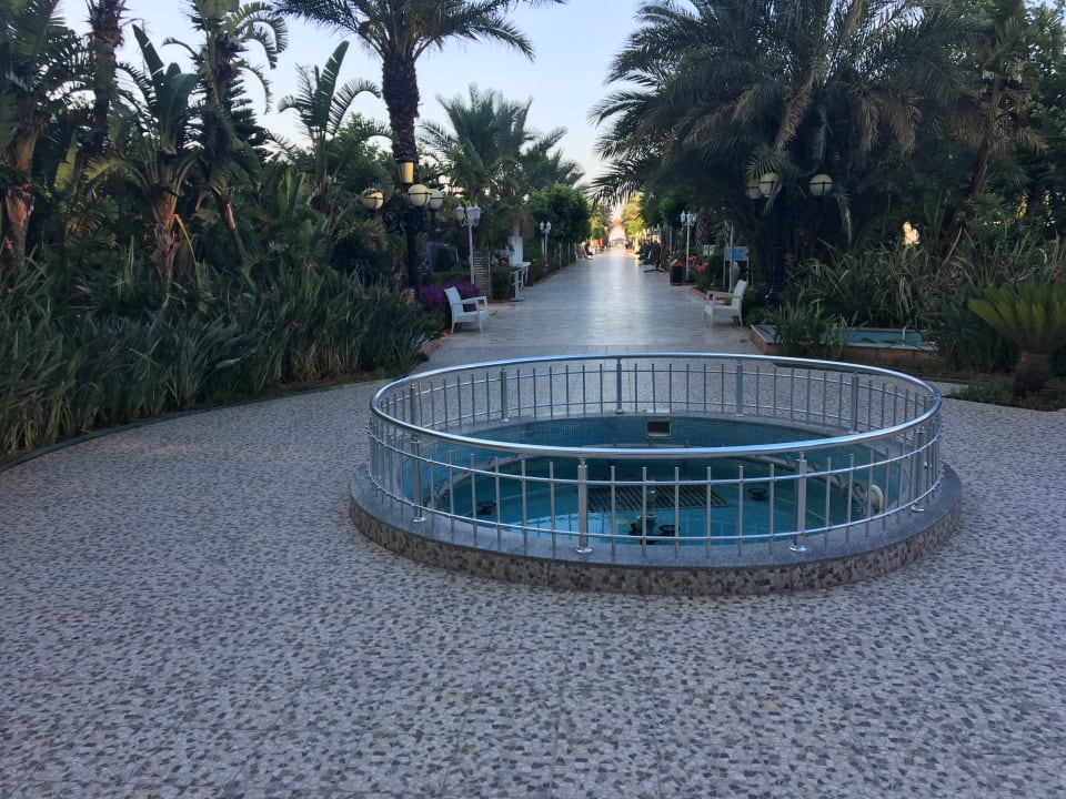 Sonstiges Hotel Delphin Imperial