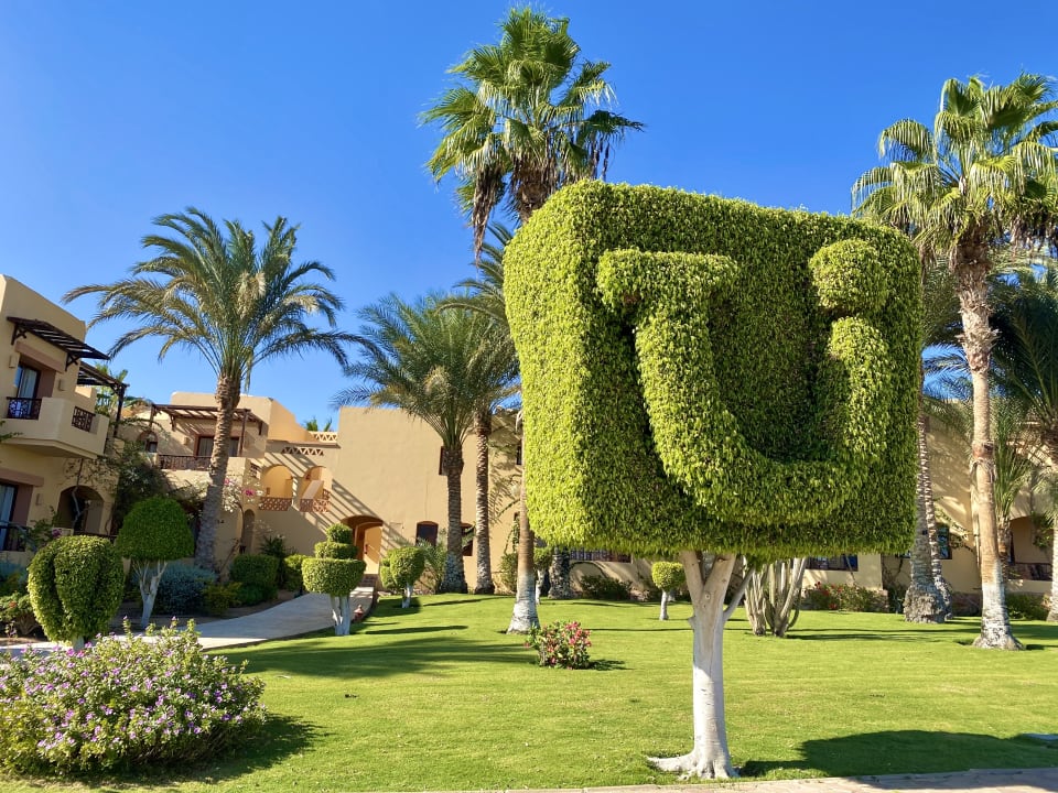 Garten Steigenberger Coraya Beach - Adults only