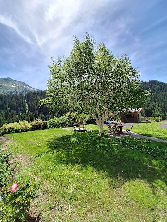 Gartenanlage Hotel Alpenblume