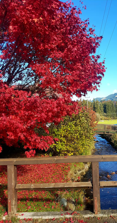 Ausblick Wohlfühlhotel Frohsinn