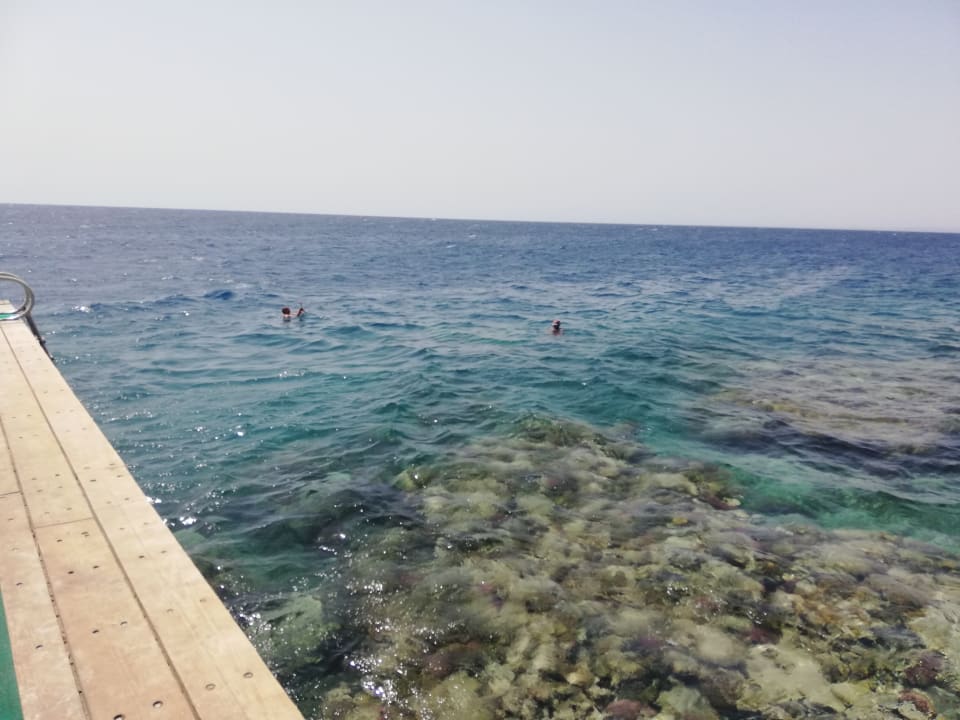 Strand Hotel Sheraton Soma Bay Resort