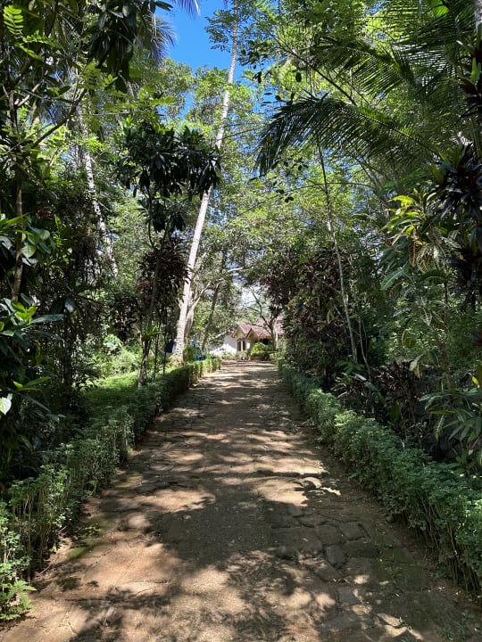 Gartenanlage Sri Mathie Historic Estate