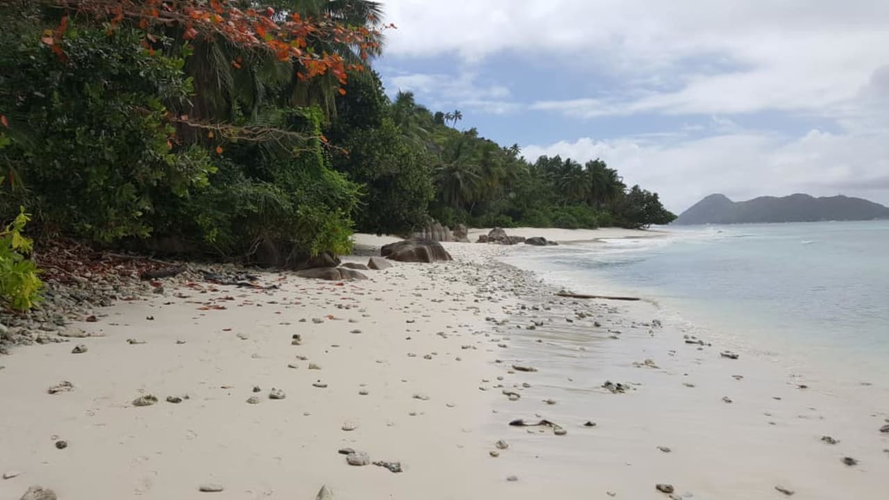 Plaża  Berjaya Beau Vallon Bay Resort & Casino