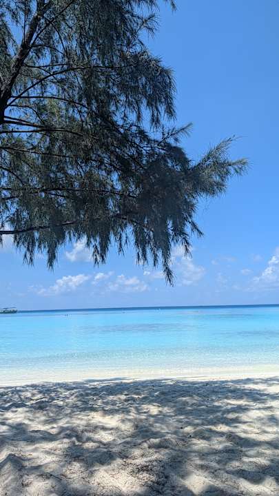 Strand Summer Island Maldives