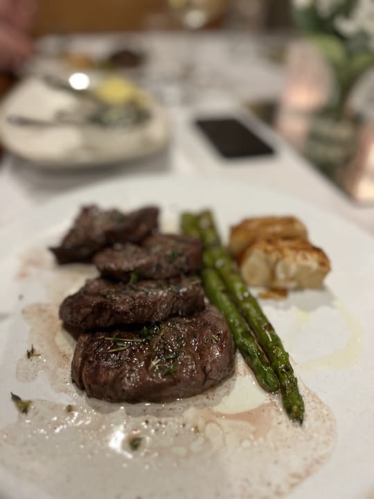 Gastro Acanthus Cennet Barut Collection