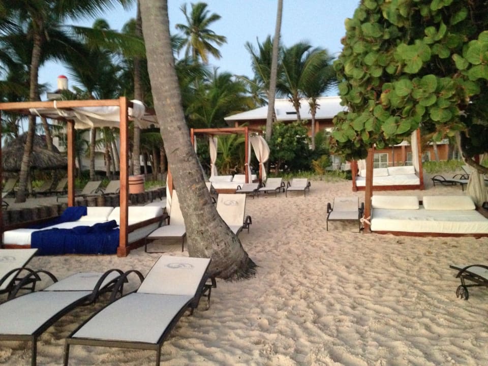 Separater Preium-Bereich Grand Palladium Punta Cana Resort & Spa