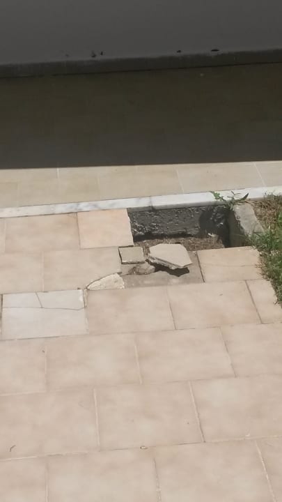 Gartenanlage Summer Village of Hippokrates - Adults only