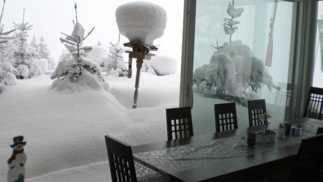 Blick vom Wintergarten  Gasthof & Landhaus Friedburg