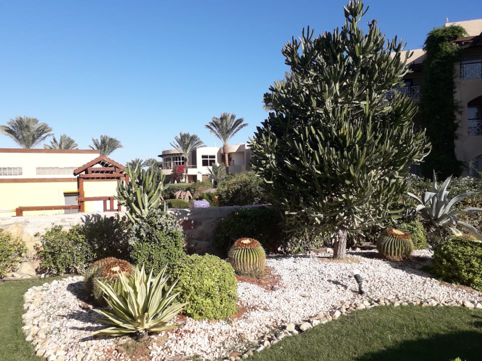 Gartenanlage Prima Life Makadi Resort