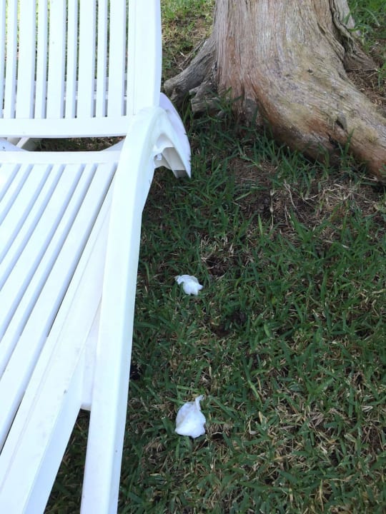 Schmutz und S*****e auf dem Hotelgelände Iberostar Waves Cala Domingos