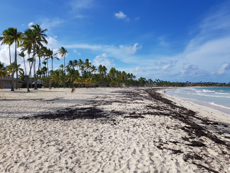 Strand Grand Bávaro Princess