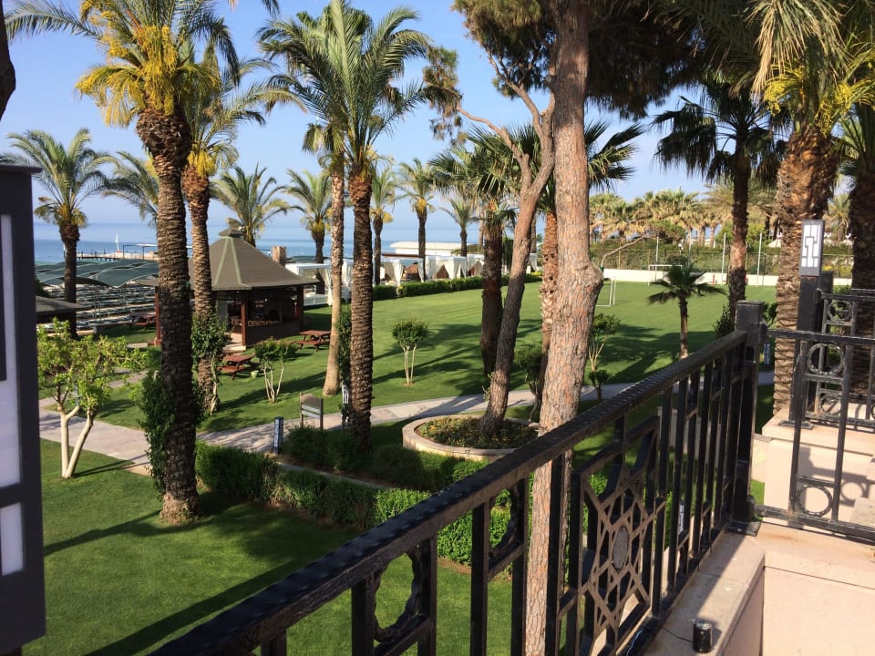 Garten Papillon Ayscha