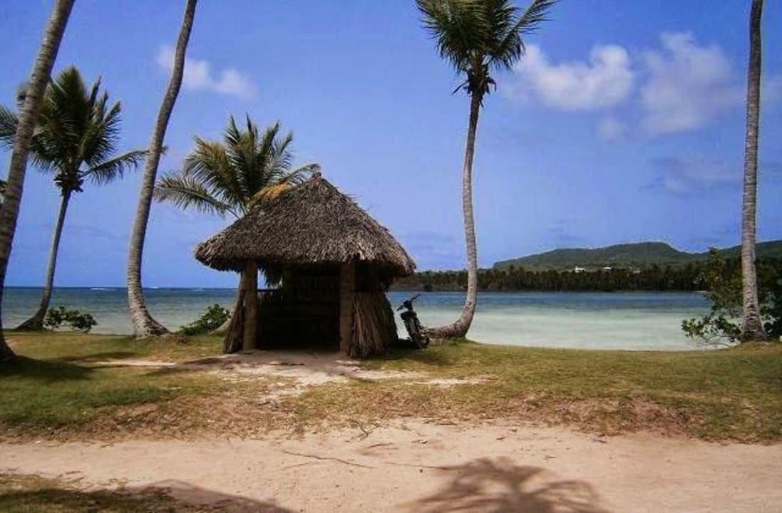 Blick aus unerem Bungalow Wyndham Alltra Samana