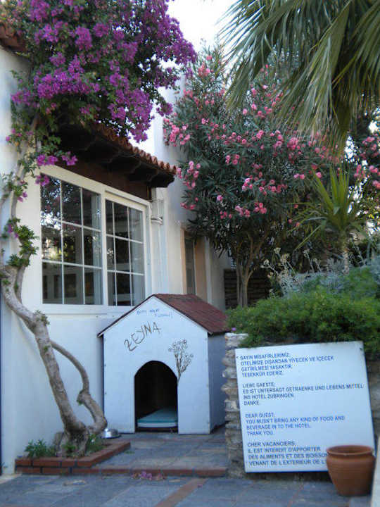 Hundezuhause Comca Manzara