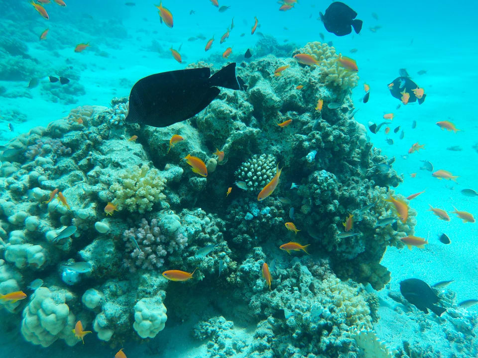 Sport & Freizeit Casa Mare Resort