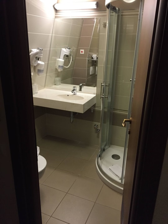 Bad Hotel Leul de Aur