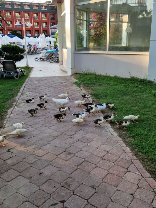 Sonstiges Annabella Diamond Hotel & Spa