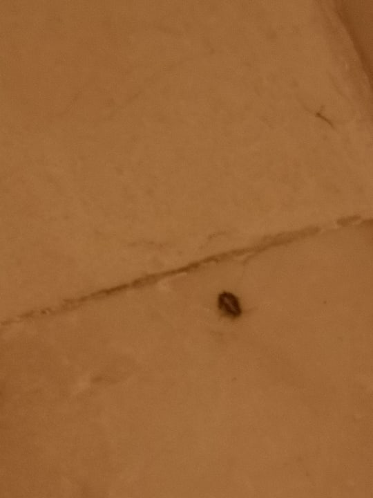 Zimmer Grupotel Playa de Palma Suites & Spa