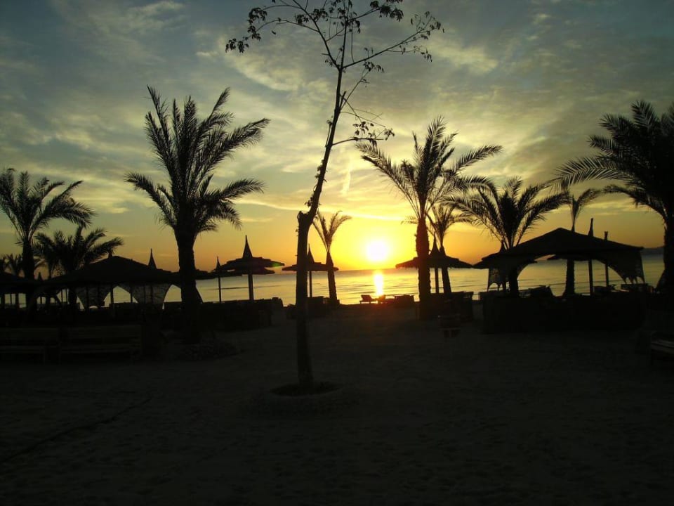 Sonnenaufgang Pickalbatros Palace Resort
