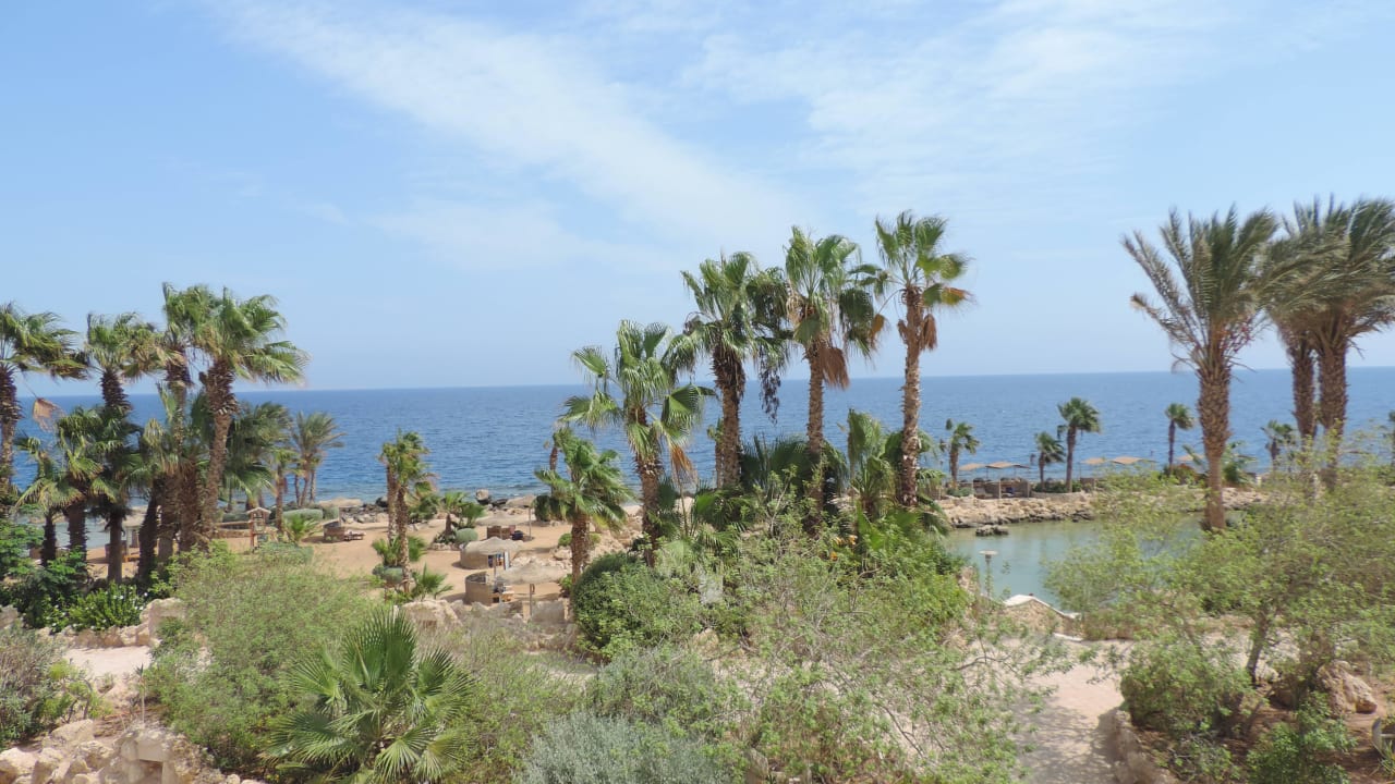 Meerblick Pickalbatros Citadel Resort