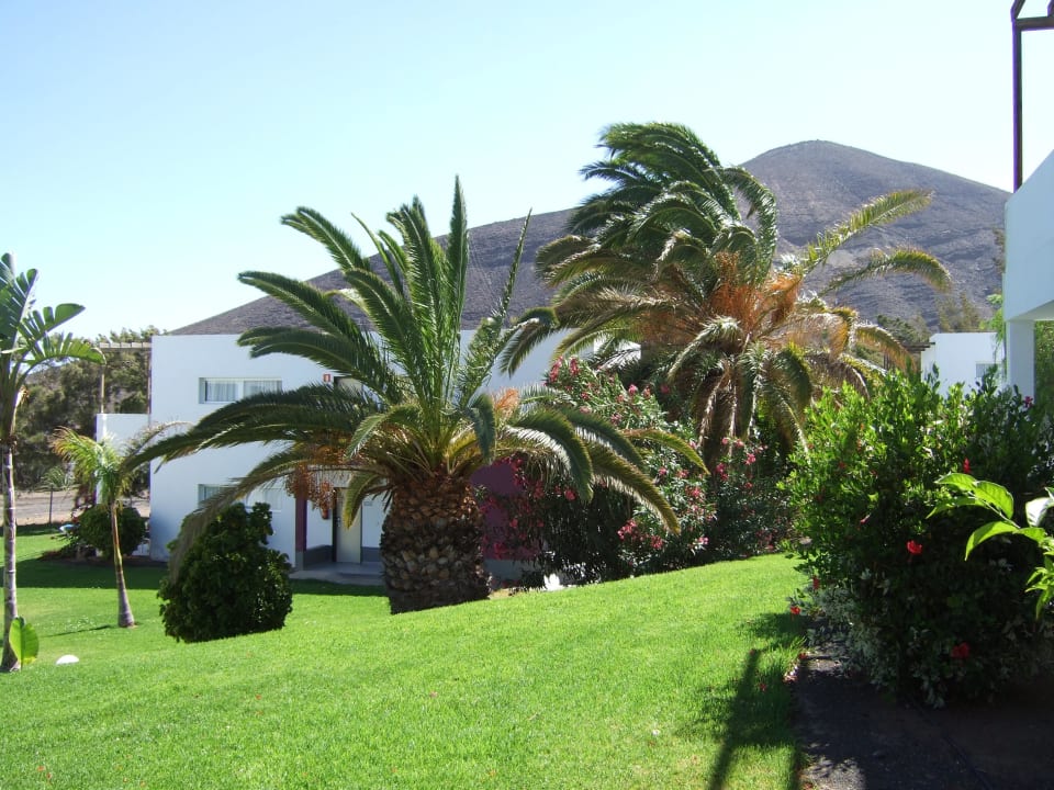 Garten allsun App.-Hotel Esquinzo Beach