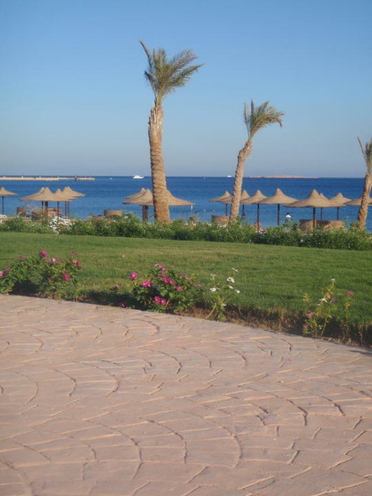 Vom Pool zum Meer Old Palace Resort
