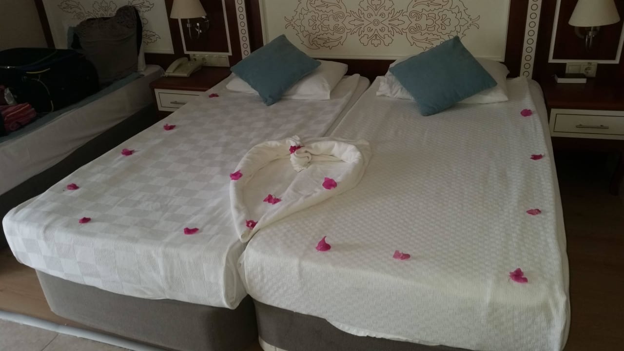 Zimmer Crystal Paraiso Aqua Collection