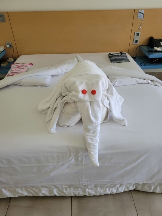 Zimmer Novotel Marsa Alam Beach Resort