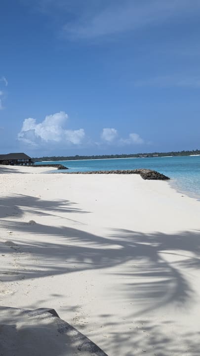 Strand Summer Island Maldives