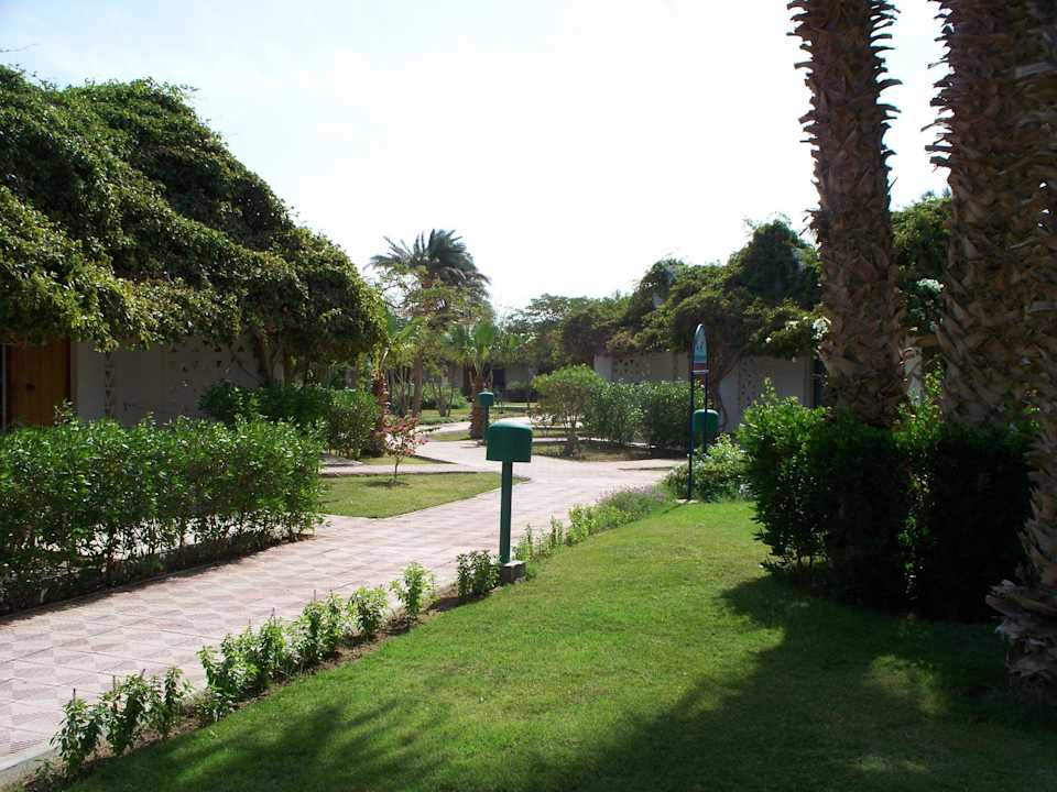 Zwischen den Bungalows Shams Safaga Resort