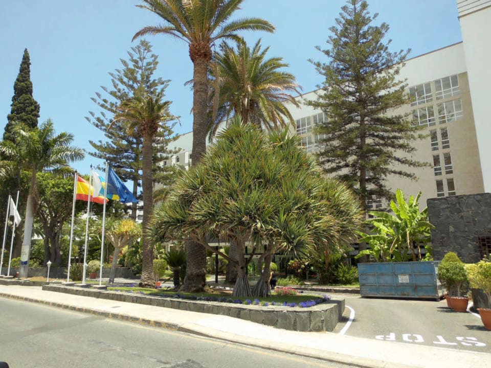 Eingang Bull Costa Canaria & Spa - Adults only