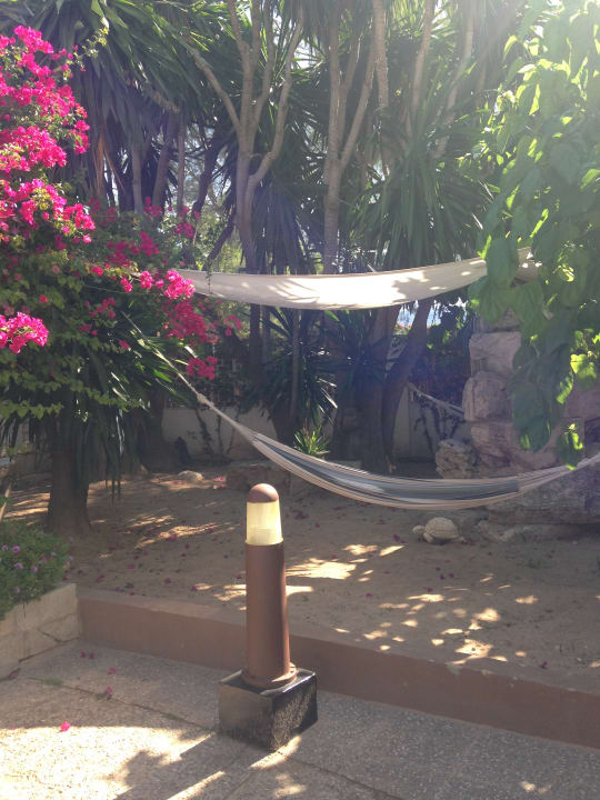 Gartenanlage Bahía de Alcúdia Hotel & Spa