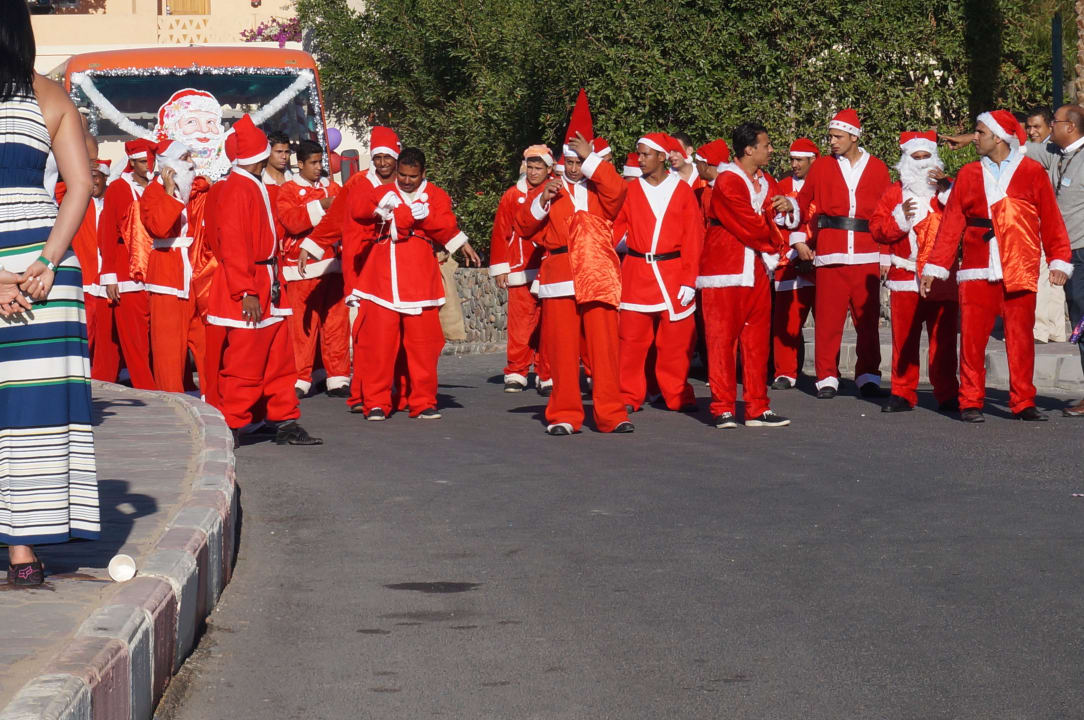 Weihnachtsparade Jaz Makadi Blue - TUI BLUE Makadi - Adults Friendly 16 Years Plus