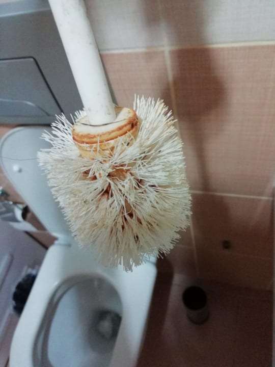 Zimmer Can Garden Beach