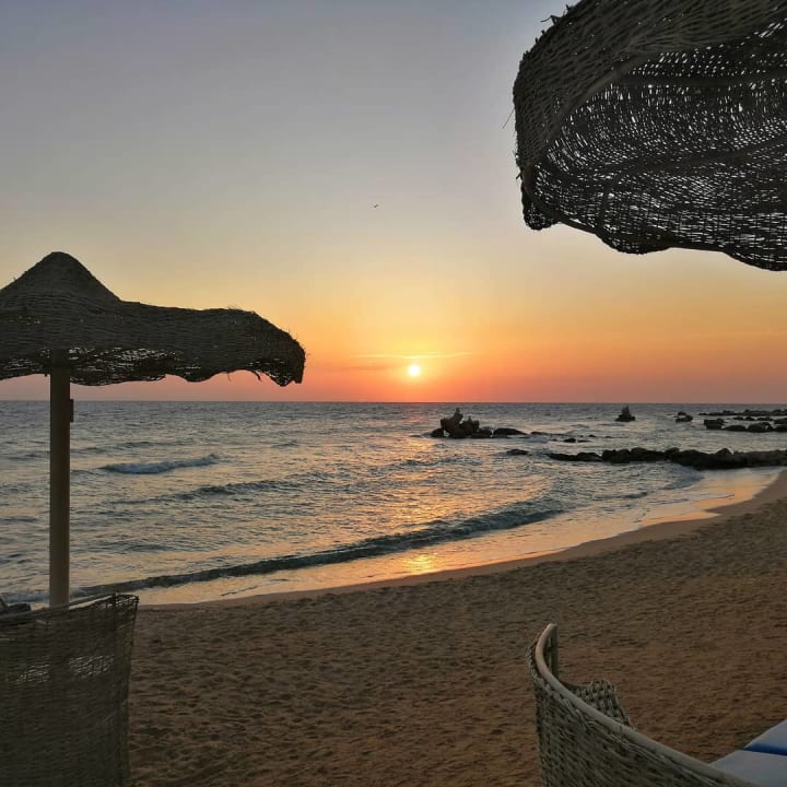 Strand Pickalbatros Citadel Resort