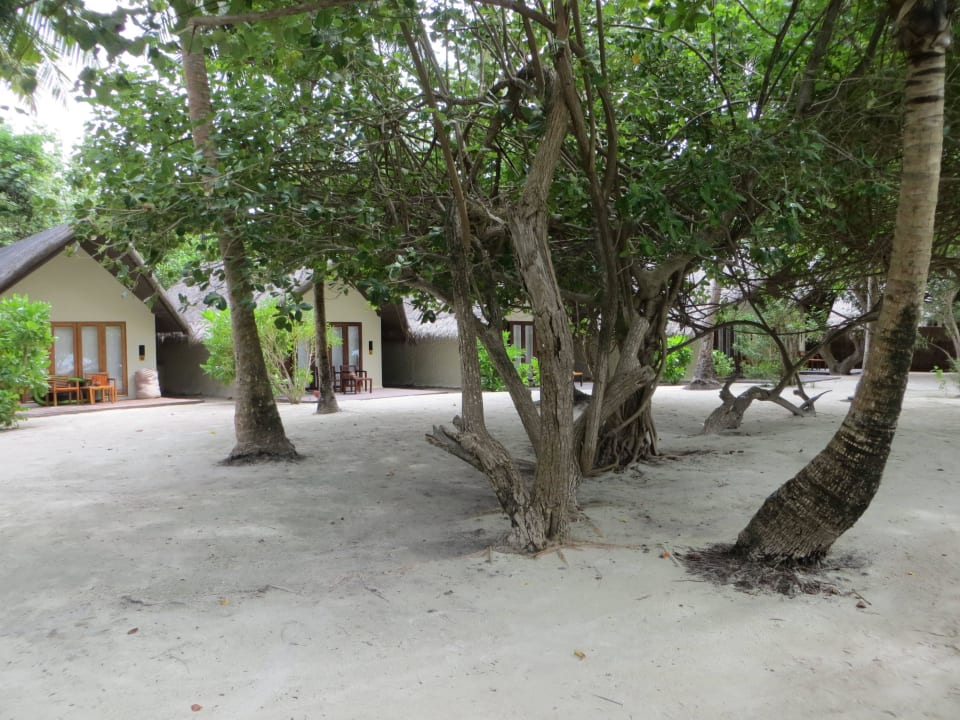 Spaziergang am Strand und den Beachvillen Adaaran Select Hudhuran Fushi - Premium All Inclusive