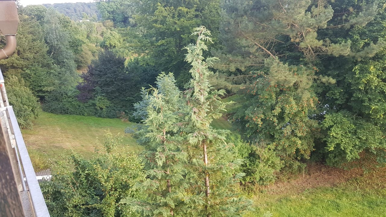 Ausblick Hotel Luisen-Muehle