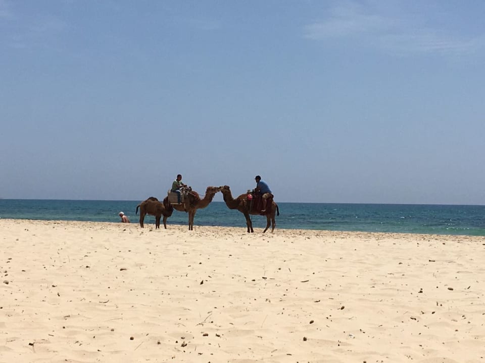 Strand Club Salammbô Hammamet