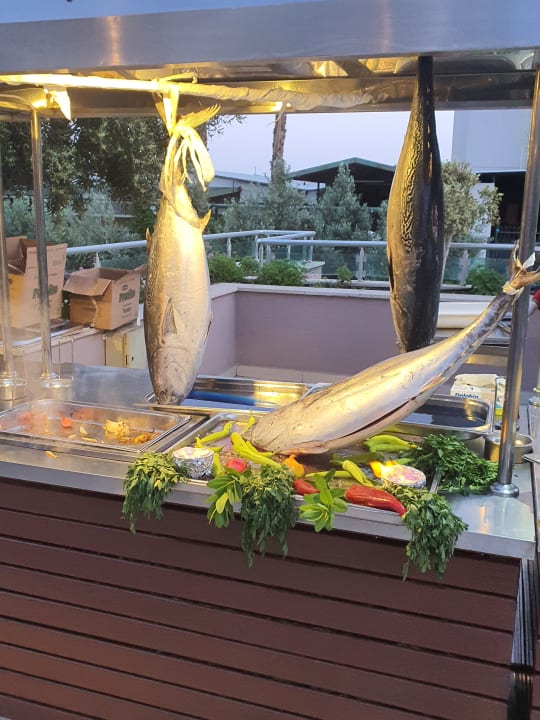 Gastro Telatiye Resort