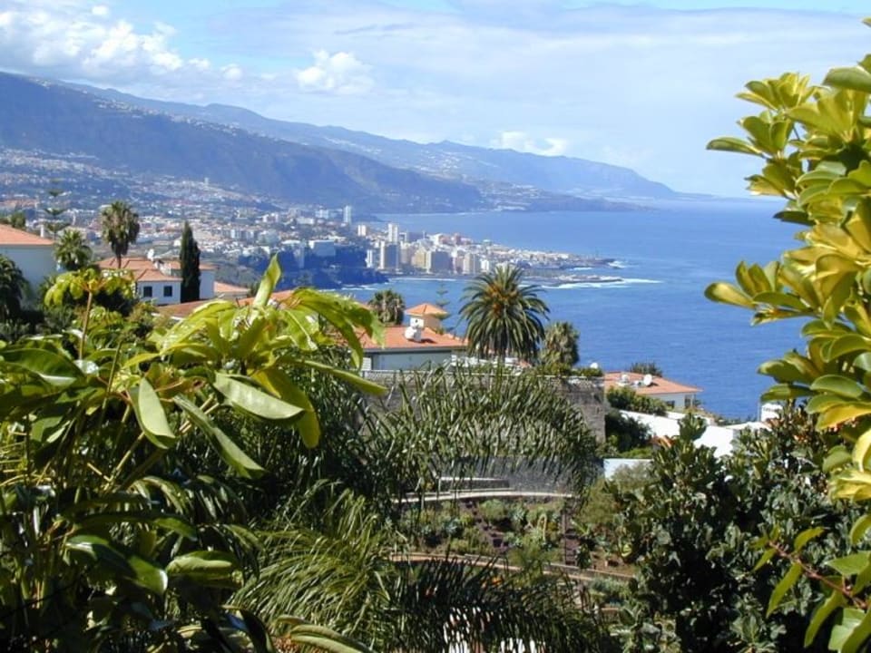 Blick vom Pool des Hotels La Quinta Park Suites Coral La Quinta Park Suites